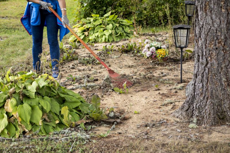 Local Land Clearing Services pros at work