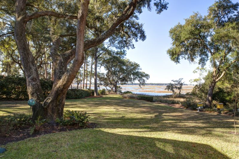 Building Site Clearing