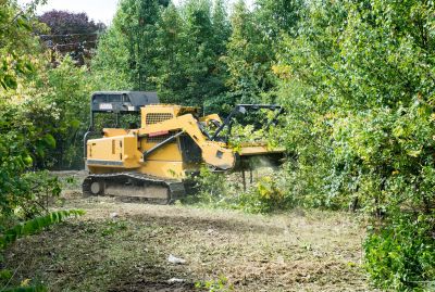 Land Clearing Services