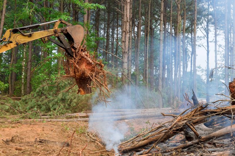 Land Clearing Services