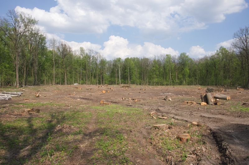Land Clearing Services