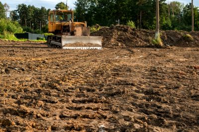Remove Trees, Shrubs, and Vegetation!